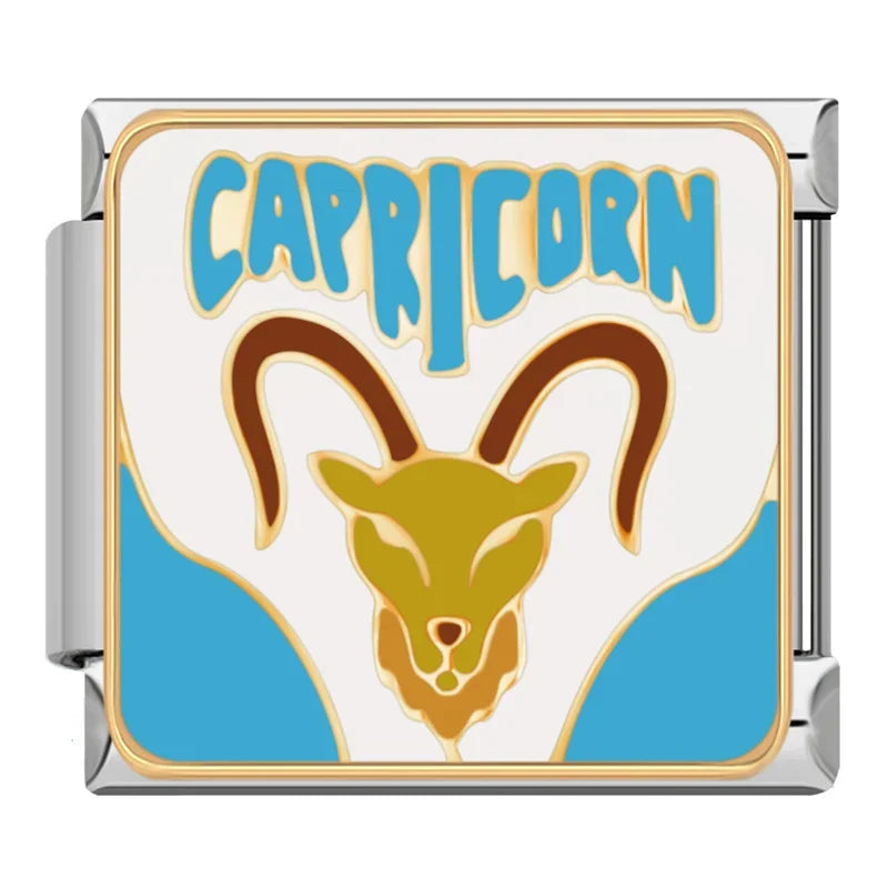 Zodiac Sign Charm